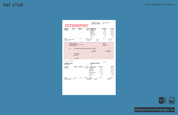 Extrim Sport Company: Vollständig bearbeitbare Beispiel-Gewinn- und Verlustrechnung (Vorschau)